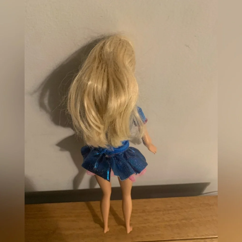 Barbie 2009 Sea World Animal Rescuer  Not original outfit